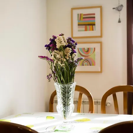 Txoriak - Basquenjoy Apartamento *